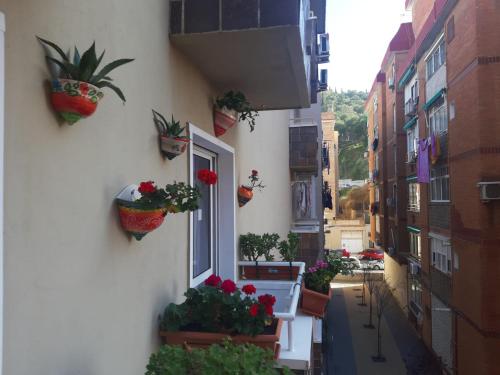 La Casa de La Abuela Rosy, Málaga (photo 11)