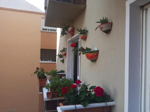 La Casa de La Abuela Rosy, Málaga (photo 10)