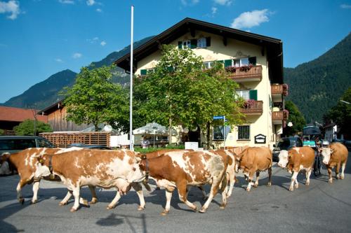 Hotel Gasthof Alter Wirt - Farchant