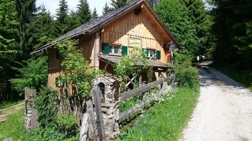 Knödl-Alm Waldhäusl in Bad Mitterndorf, Österreich