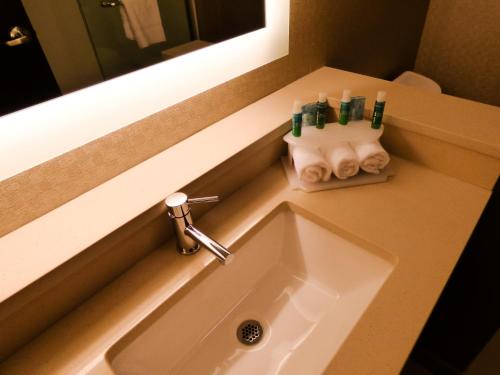 Holiday Inn Express & Suites Plymouth - Ann Arbor Area