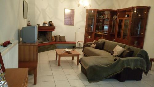  Big family house in Mesochoria village in Mesokhória