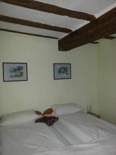 Hotel Blaues Haus 5