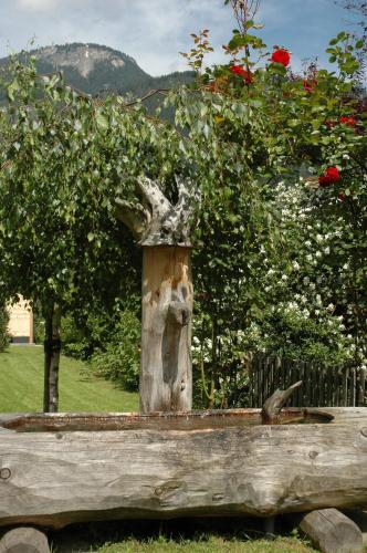 Ferienwohnungen Fichtenheim - image 5