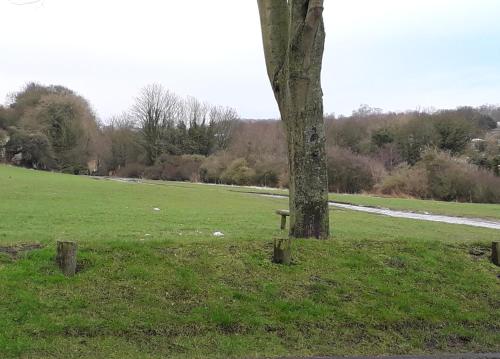 Demesnes View, , County Durham