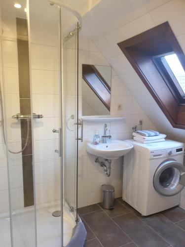 Apparthaus Pfeifer Room Type - Apartment with Shower