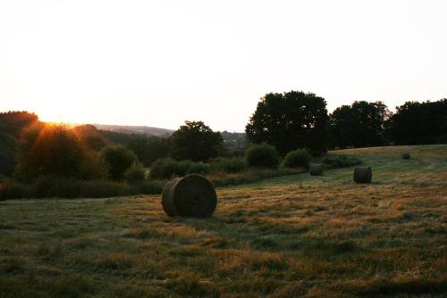 La Marguerite gîte à louer Font Léon