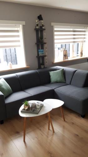  Vitamine Zee in Petten