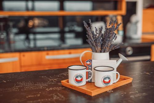 ECO Boutique Hotel AMS Beagle - image 9