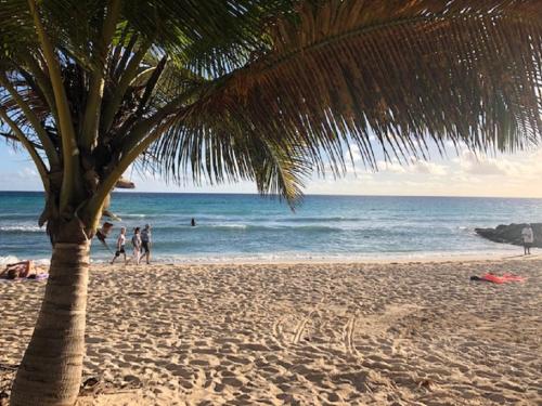 Cabana Beach House On the SEA in St Lawrence Gap!