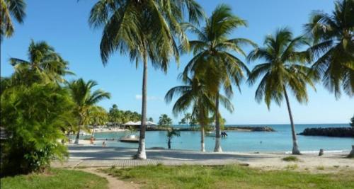 "Le Caraïbe" T3 à Bas du Fort au Gosier à quelques pas de la plage - Location saisonnière - Le Gosier