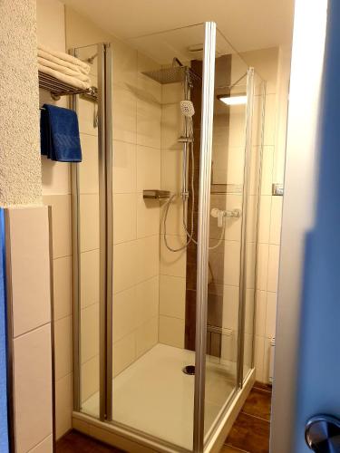 Bathroom, Hotel Gasthof zum Schwan in Steinsfeld