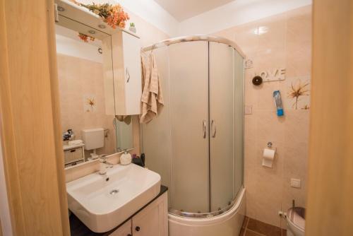 City apartment Magdalena - image 3
