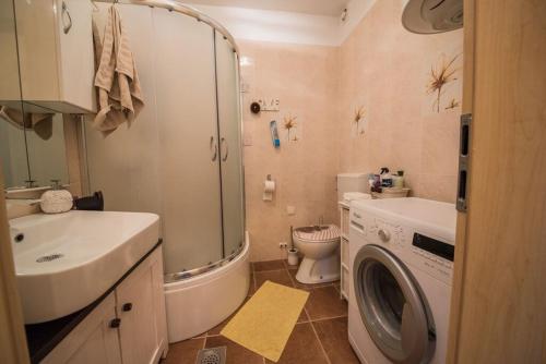 City apartment Magdalena - image 7
