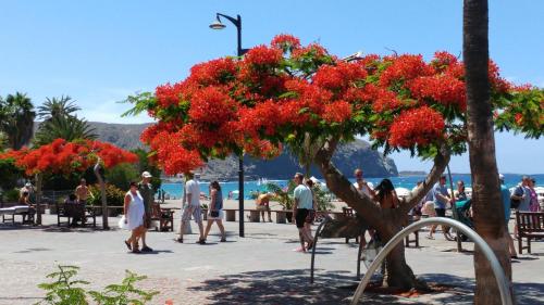  Playa de Los Cristianos Casa Adriano in 38650 Los Cristianos