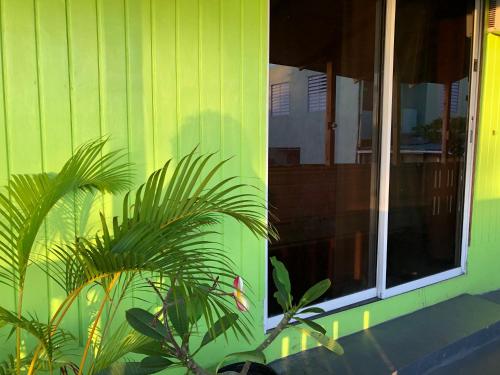Vieques Good Vibe Guest House - image 27