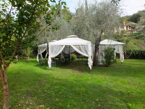 Gli Ulivi Bed & breakfast – Sarzana, WI