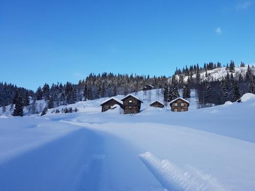 Kvambekk Gard i Åmotsdal