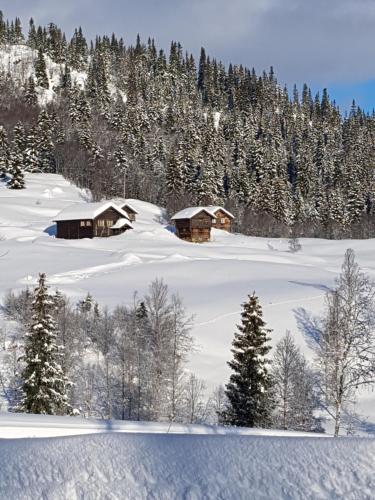 Kvambekk Gard i Åmotsdal