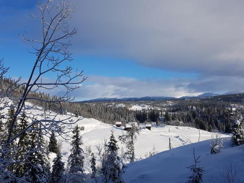 Kvambekk Gard i Åmotsdal