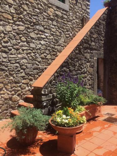 Casa Nicola, large country house with pool