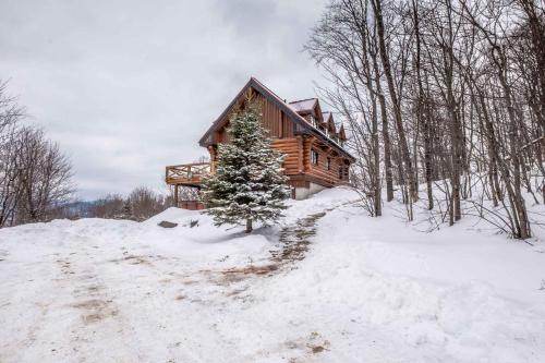 Scandinavian Five-Bedroom Chalet with Exterior Spa