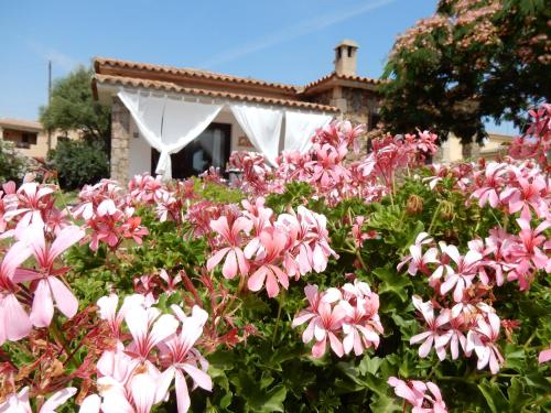 La Villetta, San Teodoro