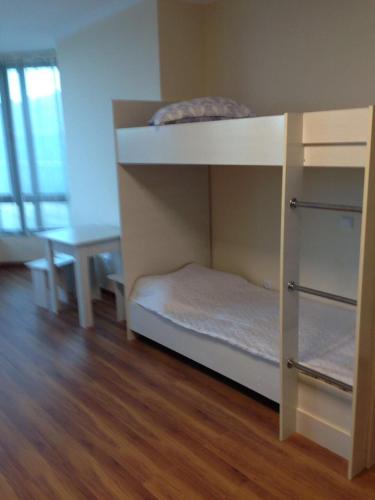 Bunk Bed in Female Dormitory Room 