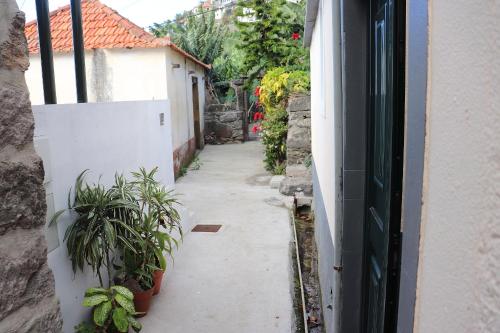 Casa do Figueirinha
