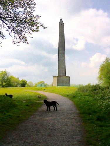 Hyacinth Bed & Breakfast, Wellington, Devon