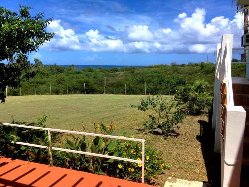 Vue, Tranquility by the Sea in Vieques Island