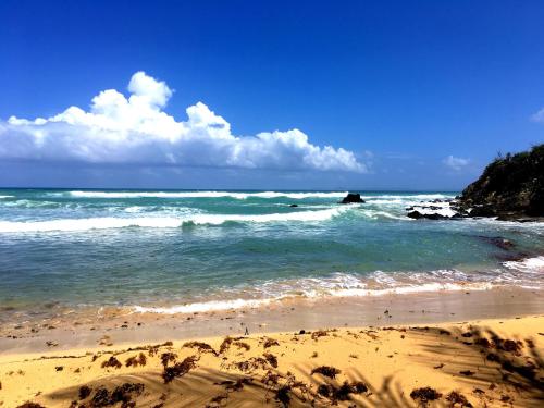 plage, Tranquility by the Sea in Vieques Island