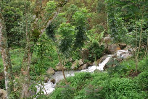 Finca Jardín del Agua