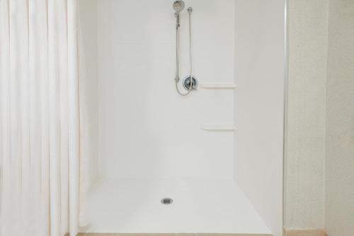 Holiday Inn Express Hotel & Suites Bentonville - image 4