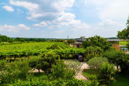 Sant'Andrea Agriturismo con cantina Martignago Vignaioli Asolo Prosecco Docg Wines