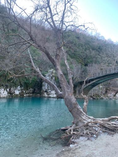 Helios - Epirus Traditional guesthouse