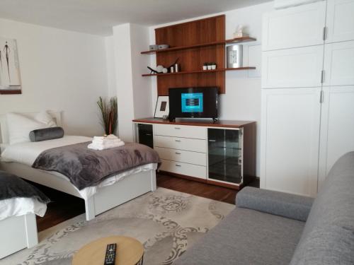 Alps Apartment in 聖維伊恩蓬高