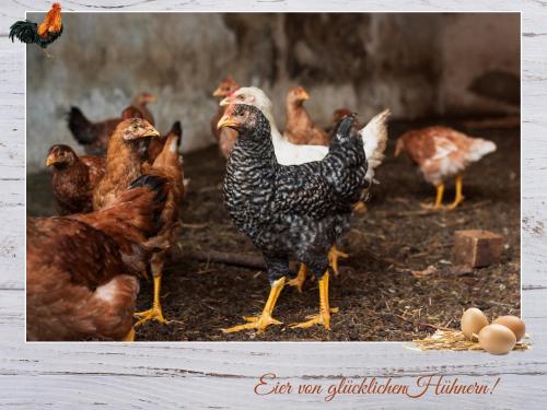 Fewo-Egger-Thalmann, Virgen (fotografie 6)