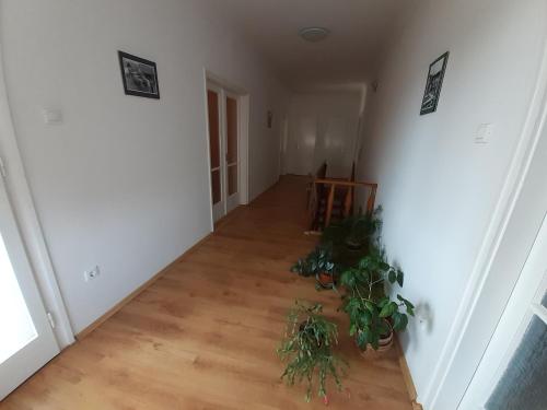 Hutasori Guesthouse in มาตราบัลลา