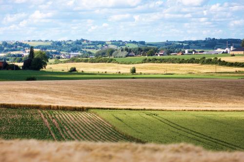 Gîte rural Les petites têtes