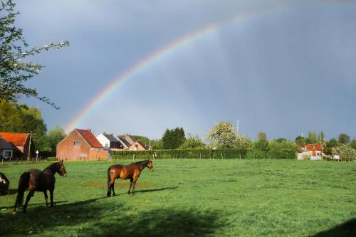 Gîte rural Les petites têtes