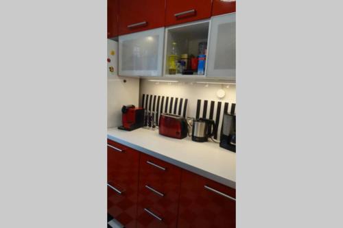 Schöne, ruhige Wohnung in Berlin-Steglitz, Berlino (foto 6)