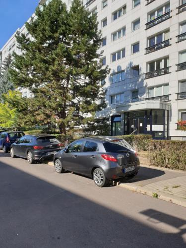 SUITE Park & City Alex 4 rooms 2 bathrooms 2 kitchen, Berlín (fotografie 7)
