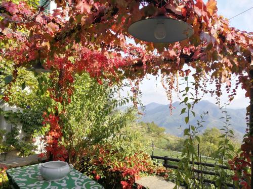 Ümbrus, Casale Maria Mafalda in Pieve Di Teco