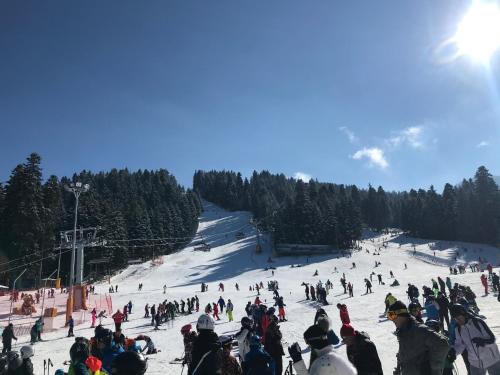Studio in Hotel Flora Borovets, Borowec (zdjęcie 9)
