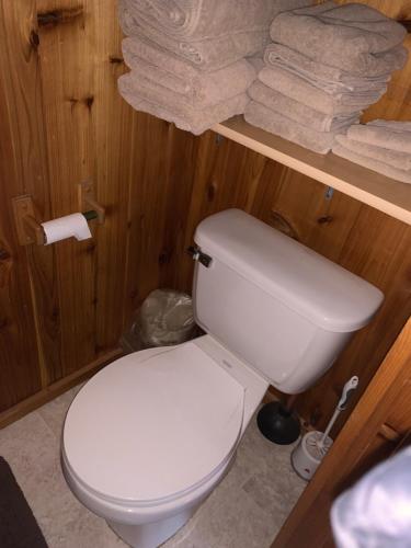 Bearlodge Mountain Resort - image 6