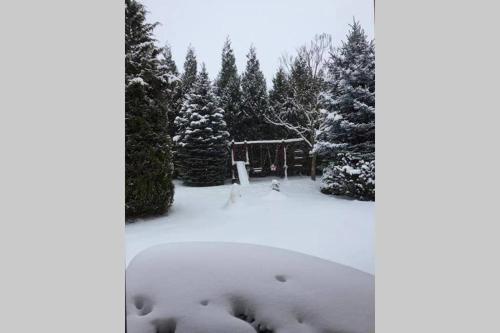 Garden, Four Seasons Villa in Kaposvar