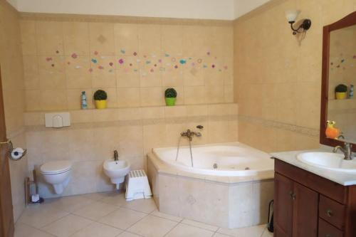 Bathroom, Four Seasons Villa in Kaposvar