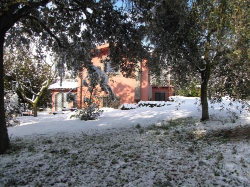 B&B Ai Glicini – Marino