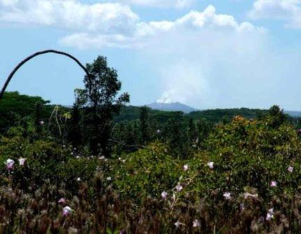 Kehena Treetop Bungalow home